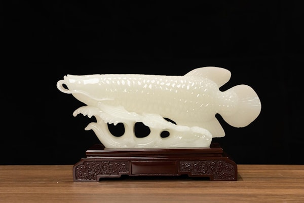 CÁ RÔNG PHÔNG THỦY SIZE NHỎ